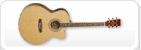 Chitarre acustiche