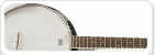 Banjo-Saiten